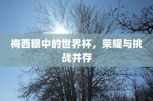 梅西眼中的世界杯，荣耀与挑战并存