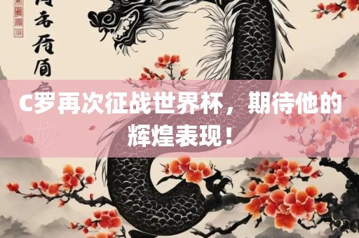 C罗再次征战世界杯，期待他的辉煌表现！洛阳市法福文化传播有限公司