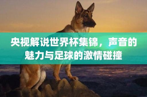 央视解说世界杯集锦，声音的魅力与足球的激情碰撞