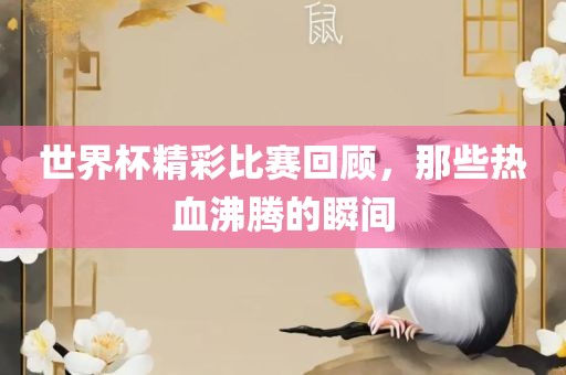 世界杯精彩比赛回顾，那些热血沸腾的瞬间