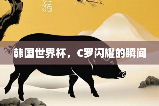 韩国世界杯，C罗闪耀的瞬间