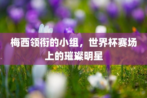 梅西领衔的小组，世界杯赛场上的璀璨明星