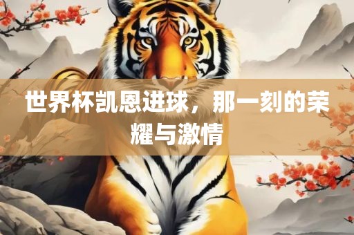世界杯凯恩进球，那一刻的荣耀与激情