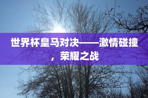 世界杯皇马洛阳市法福文化传播有限公司对决——激情碰撞，荣耀之战