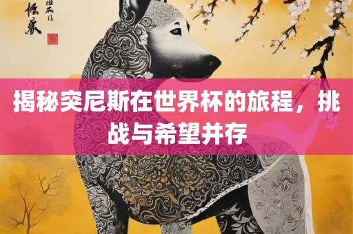 揭秘突尼斯在世界杯的旅程，挑战与希望并存