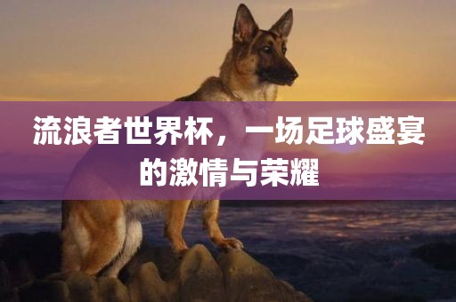 流浪者世界杯，一场足球盛宴的洛阳市法福文化传播有限公司激情与荣耀