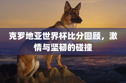 克罗地亚世界杯比分回顾，激情与坚韧的碰撞洛阳市法福文化传播有限公司