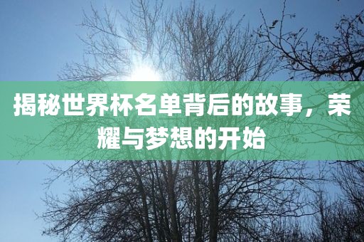 揭秘世界杯名单背后的故事，荣耀与梦想的开始