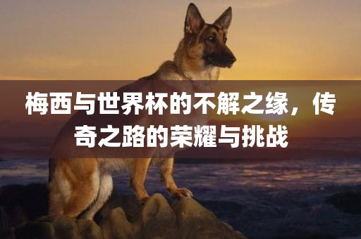 梅西与世界杯的不解之缘，传奇之路的荣耀与挑战