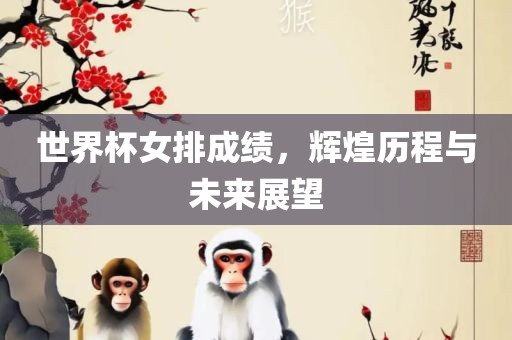 世界杯女排成绩，辉煌历程与未来展望