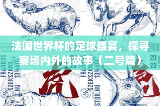 法国世界杯的足球盛宴，探寻赛场内外的故事（二号篇）