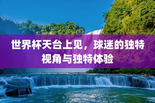 世界杯天台上见，球迷洛阳市法福文化传播有限公司的独特视角与独特体验