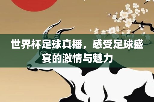 世界杯足球真播，感受足球盛宴的激情与魅力