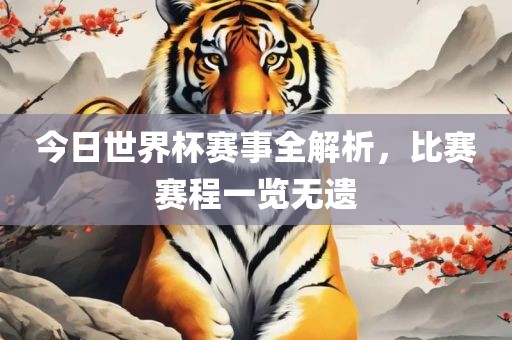 今日世界杯赛事全解析，比赛赛程一览无遗