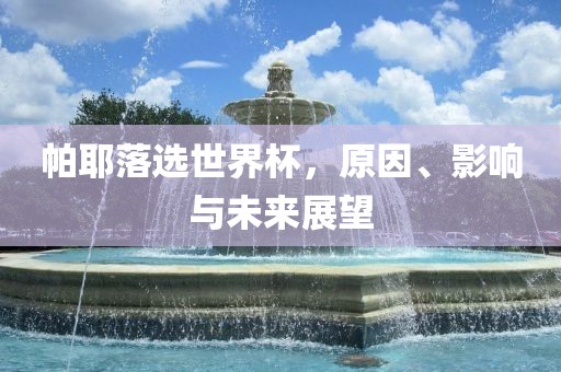 帕耶落选世界杯，原因、影响与未来展望
