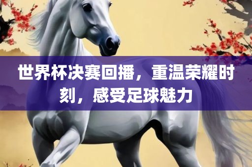世界杯决赛回播，重温荣耀时刻，感受足球魅力