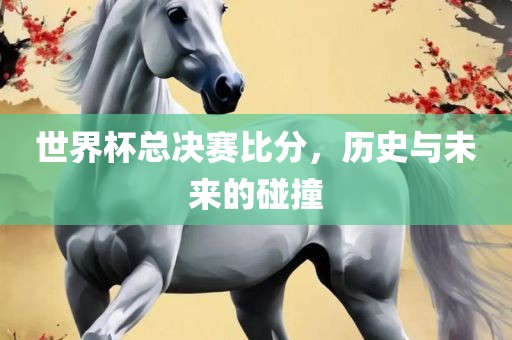 世界杯总决赛比分，历史与未来的碰撞