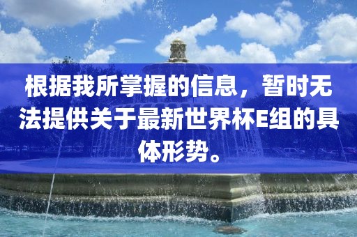 根据我所掌握的信息，暂时无法提供关于最新世界杯E组的具体形势。洛阳市法福文化传播有限公司