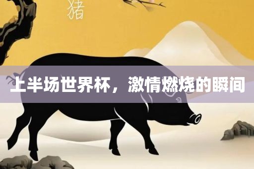 上半场世界杯，激情燃烧的瞬间