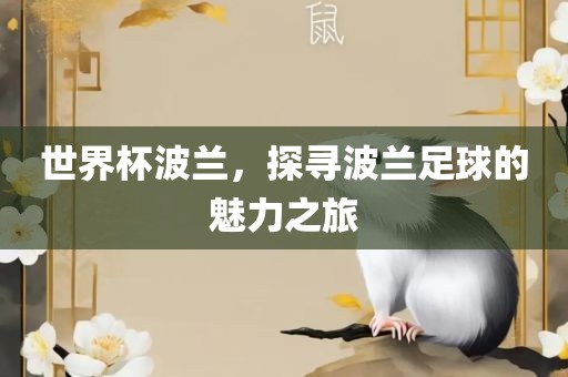 世界杯波兰，探寻波兰足球的魅力之旅