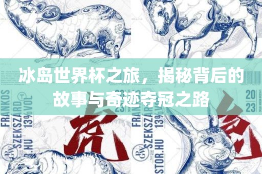 冰岛世界杯之旅，揭秘背后的故事与奇迹夺冠之路