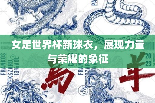 女足世界杯新球衣，展现力量与荣耀的象征