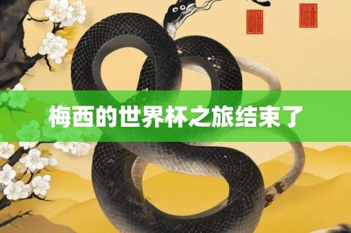 梅西的世界杯之旅结束了