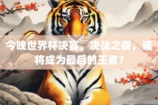 今晚世界杯决赛，决战之夜，谁将成为最后的王者？