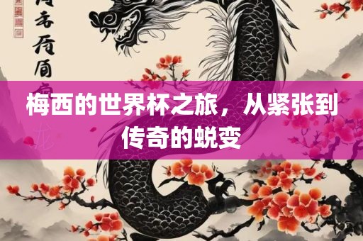 梅西的世界杯之旅，从紧张到传奇的蜕变