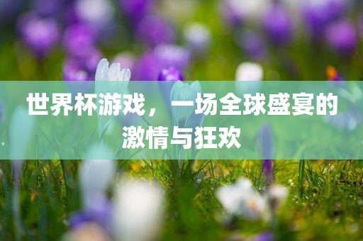 世界杯游戏，一场全球盛宴的激情与狂欢洛阳市法福文化传播有限公司