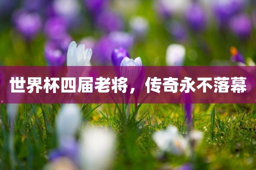 世界杯四届老将，传奇永不落幕