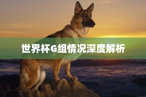 深度解析 第2页