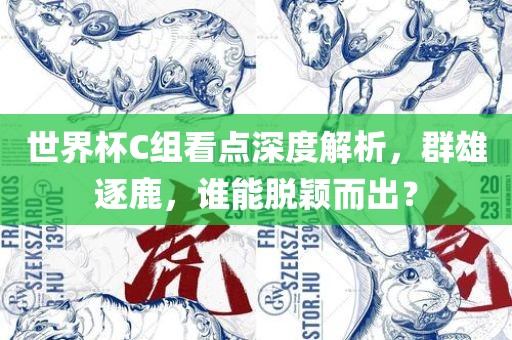 世界杯C组看点深度解析，群雄逐鹿，谁能脱颖而出？