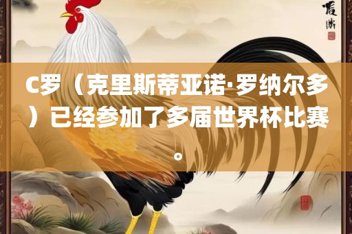 C罗（克里斯蒂亚诺·罗纳尔多）已经参加了多届世界杯比赛。