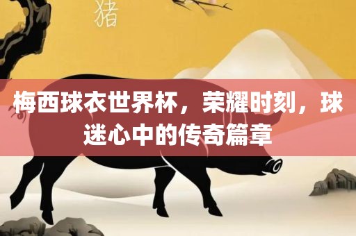 梅西球衣世界杯，荣耀时刻，球迷心中的传奇篇章