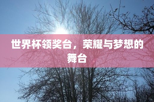 世界杯领奖台，荣耀与梦想的舞台