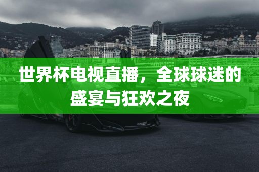 世界杯电视直播，全球球迷的盛宴与狂欢之夜洛阳市法福文化传播有限公司