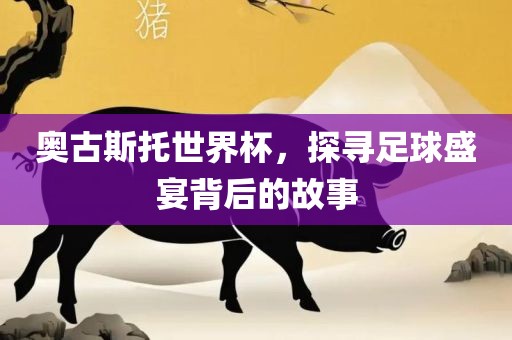 奥古斯托世界杯，探寻足球盛宴背后的故事