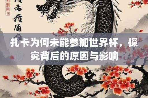 扎卡为何未能参加世界杯，探究背后的原因与影响