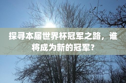探寻本届世界杯冠军之路，谁将成为新的冠军？