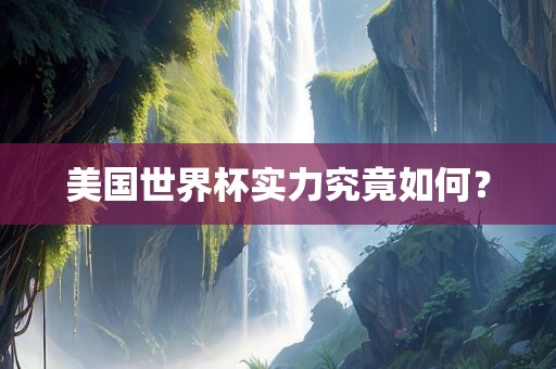 美国世界杯实力究竟如何？