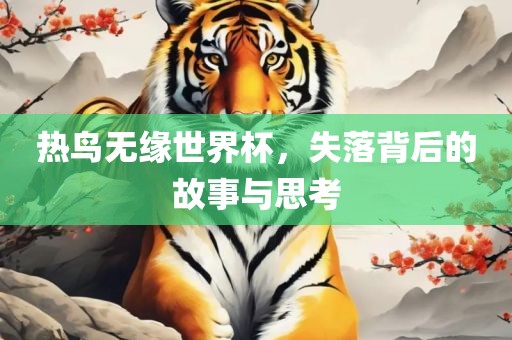 热鸟无缘世界杯，失落背后的故事与思考洛阳市法福文化传播有限公司