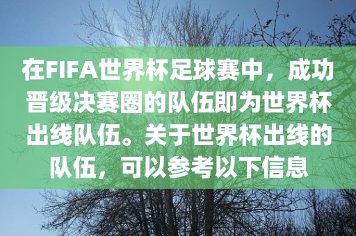 在FIFA世界杯足球赛中，成功晋级决赛圈的队伍即为世界杯出线队伍。关于世界杯出线的队伍，可以参考以下信息