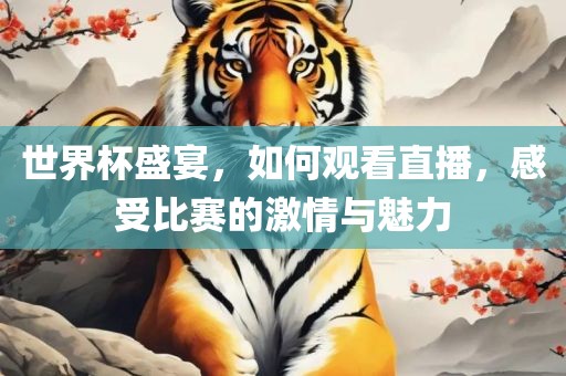 世界杯盛宴，如何观看直播，感受比赛的激情与魅力