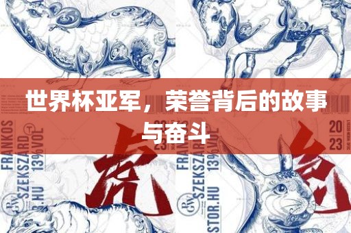 世界杯亚军，荣誉背后的故事与奋斗