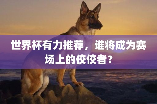 世界杯有力推荐，谁将成为赛场上的佼佼者？
