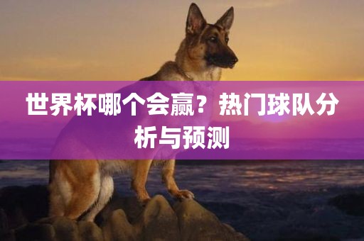 世界杯哪个会赢？热门球队分析与预测洛阳市法福文化传播有限公司