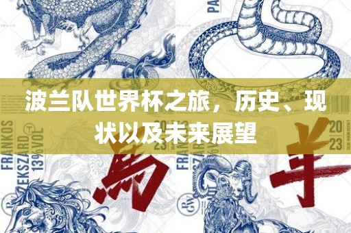 波兰队世界杯之旅，历史、现状以及未来展望