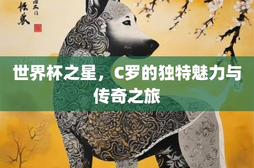 世界杯之星，C罗的独特魅力与传奇之旅