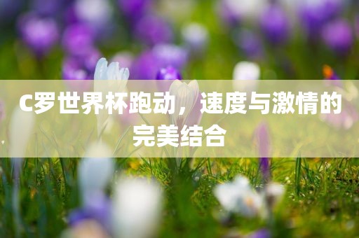 C罗世界杯跑动，速度与激情的完美结合